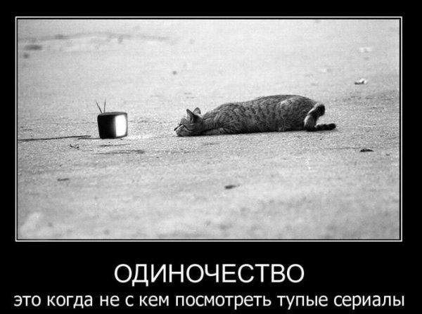 Одиночество юмор