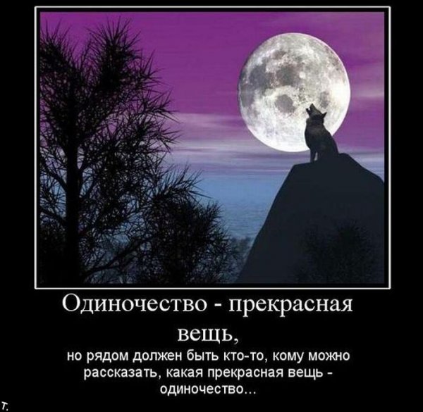 Цитаты про одиночество