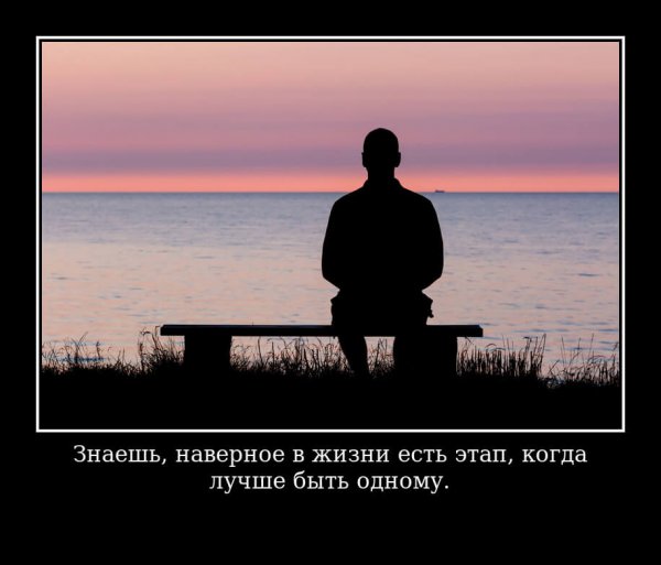 Одна цитаты
