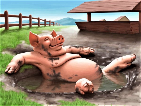 Свинья в луже карикатура