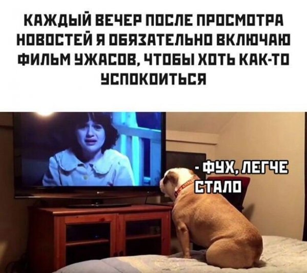 Каждый вечер после просмотра новостей