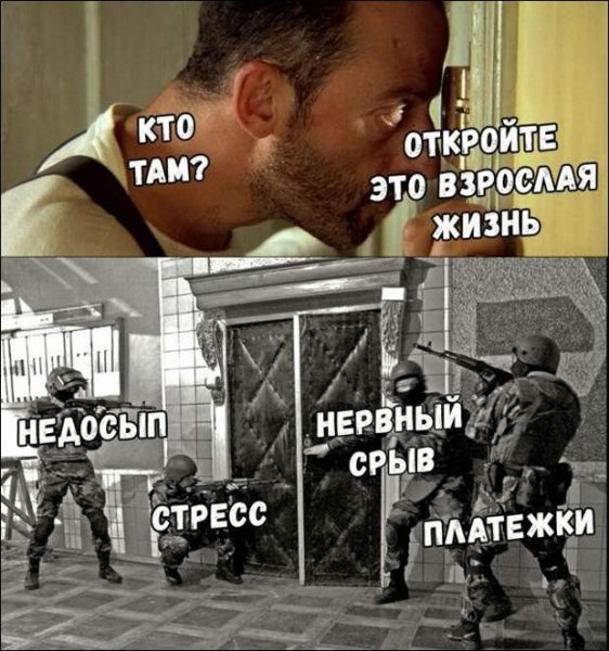 Мемы с надписями