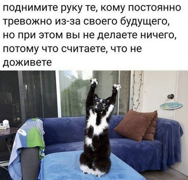 Смешные фото с текстом