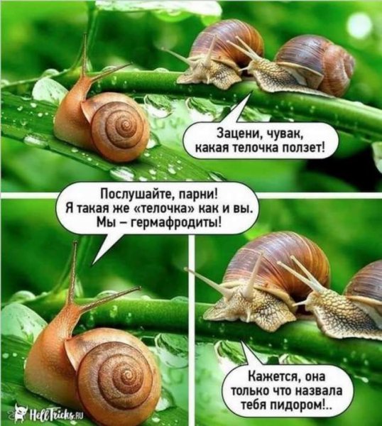 Весёлые надписи для поднятия настроения