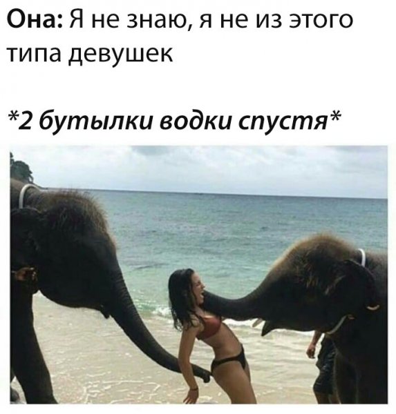 Смешные картинки с надписями для поднятия настроения девушке
