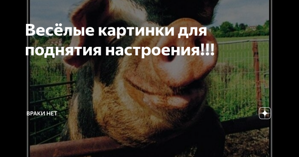 Картинки мужчине для поднятия настроения
