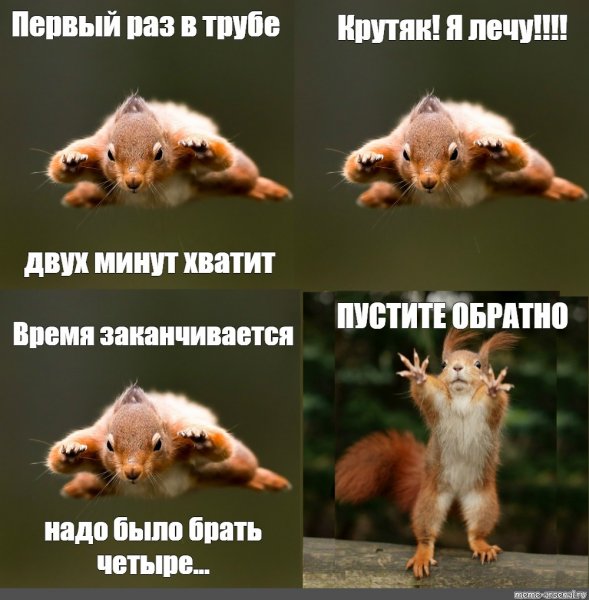 Суббота картинки для поднятия настроения