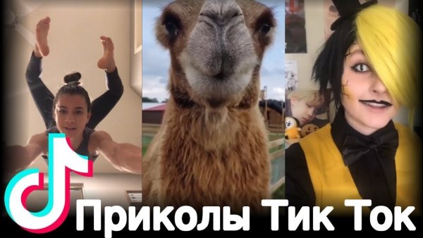 Тик ток приколы