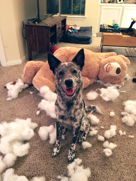 Подборка прикольных картинок с надписями