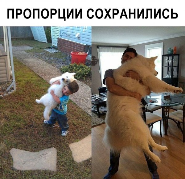 Приколы смешные до слез
