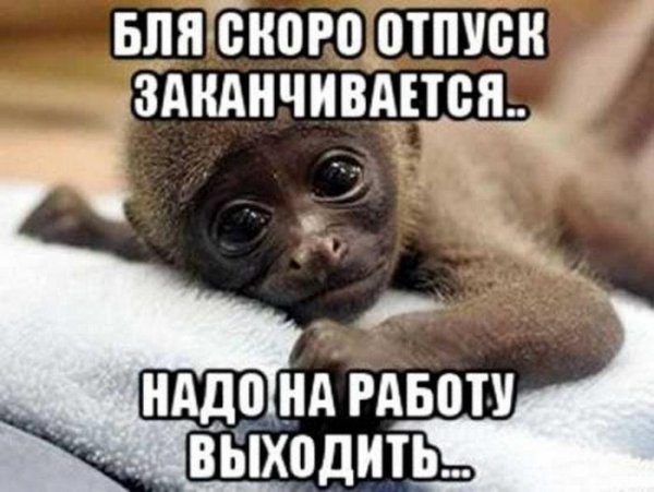 Поздравления с последним днем отпуска