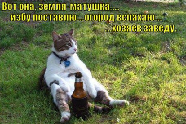 Первый день после отпуска
