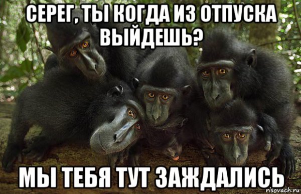 Выход из отпуска приколы