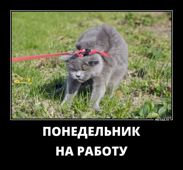 ОА работу после отпуска