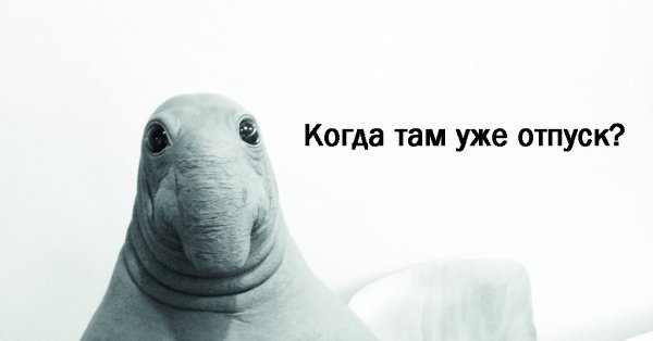 Ждун отпуск