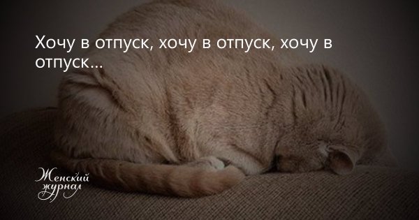 Хочу в отпуск прикол