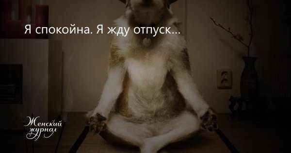 Я спокойна я жду