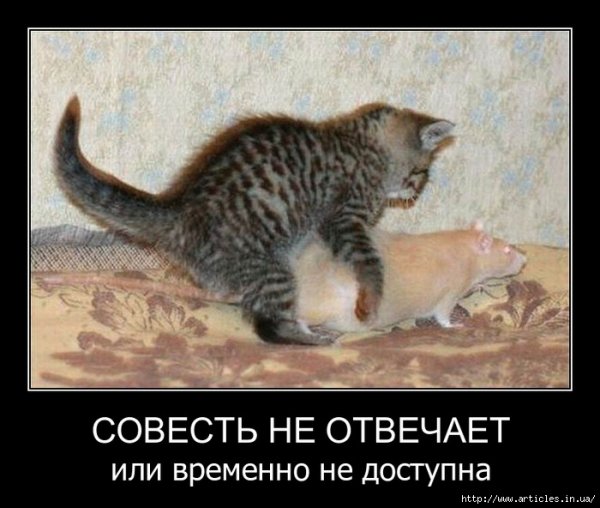 Смешные картинки с матом