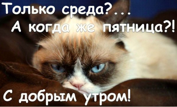 Утро среды