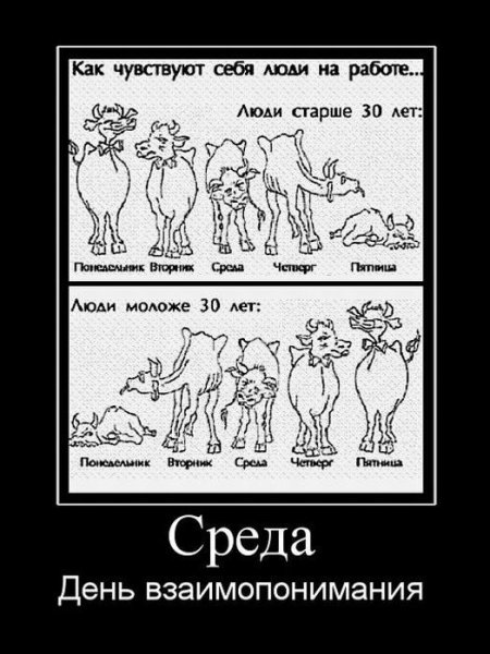 Открытки со средой прикольные