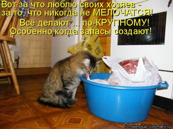 Приколы про среду