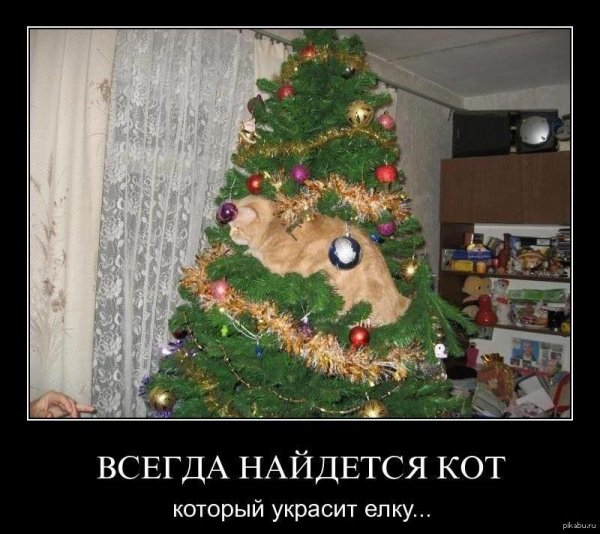 Приколы к новому году