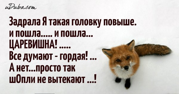 Цитаты про лисиц