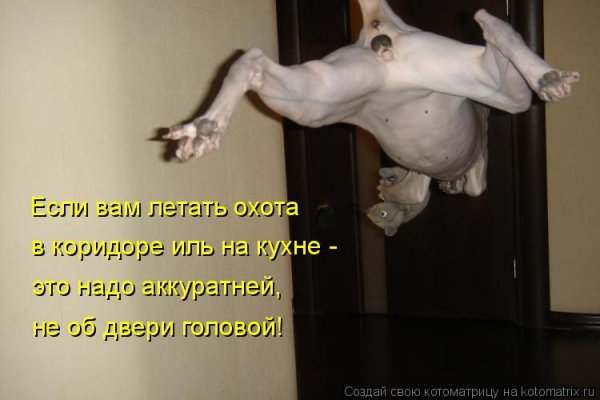 Ёж птица гордая пока не пнёшь не полетит