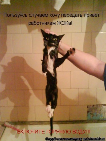 Врагу не сдаётся наш гордый