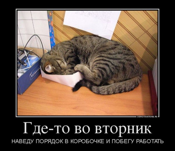 Вторник прикол