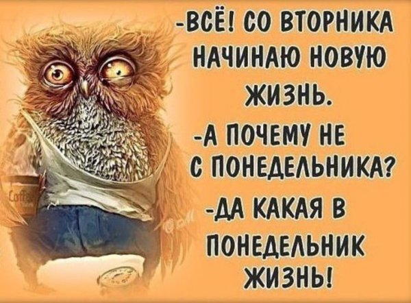 Цитаты про понедельник