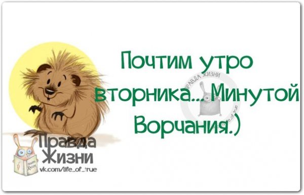 Вторник прикол