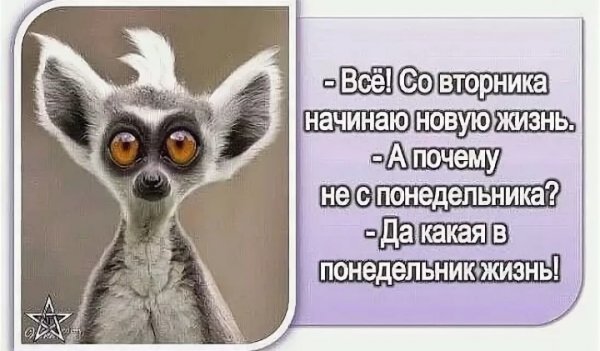 Цитаты про вторник