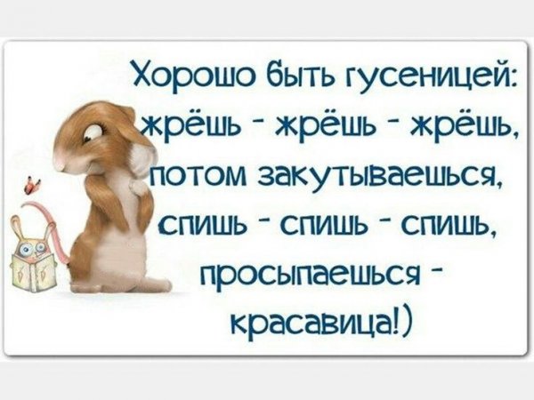 Смешные афоризмы и высказывания