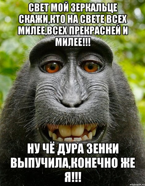Дурочка смешная