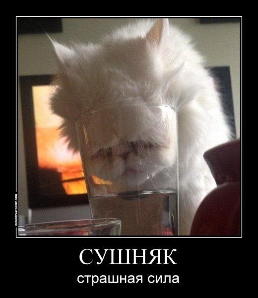 Сушняк страшная сила
