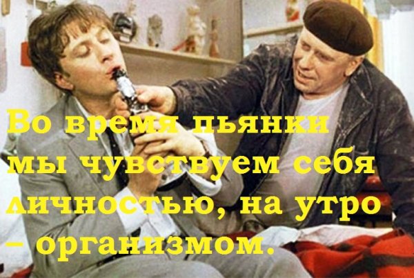 Похмелье приколы