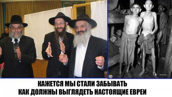 Шалом Изя