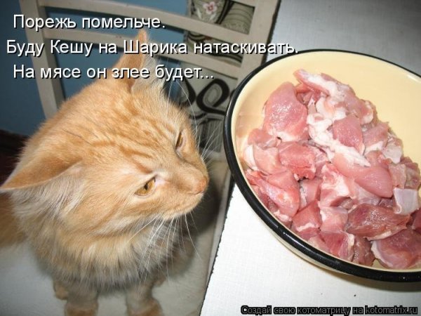 Прикольные комментарии к фотографиям