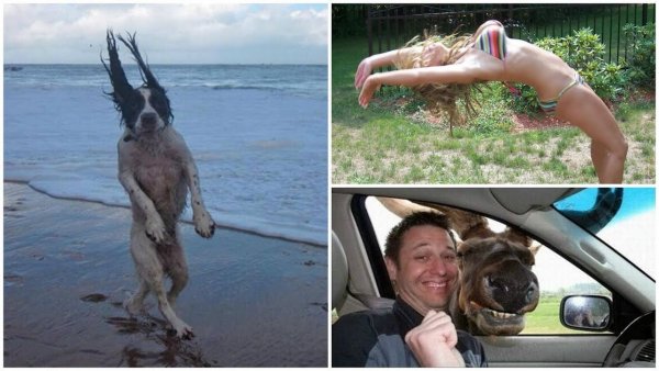 Фото приколы