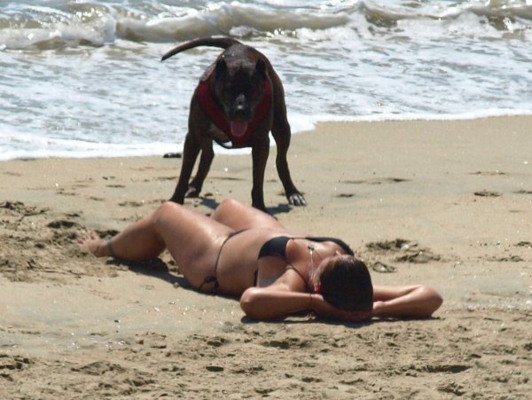 69 Смешные картинки