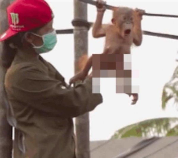 Издевательства приколы