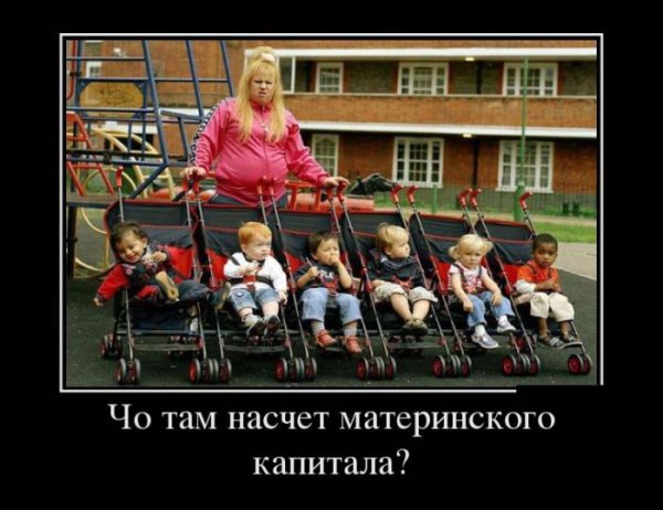Материнский капитал прикол
