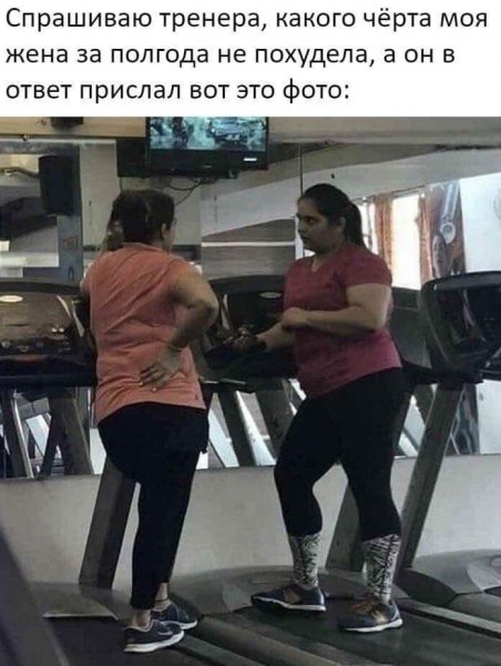 Приколы про тренажерку