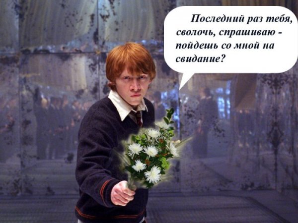 Гарри Поттер приколы