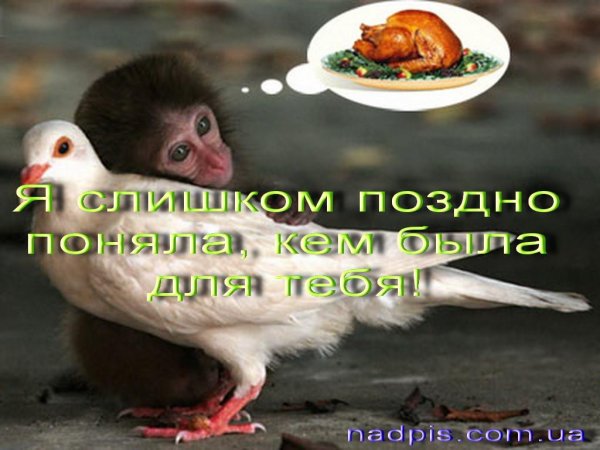 Весёлые картинки про друзей с надписями