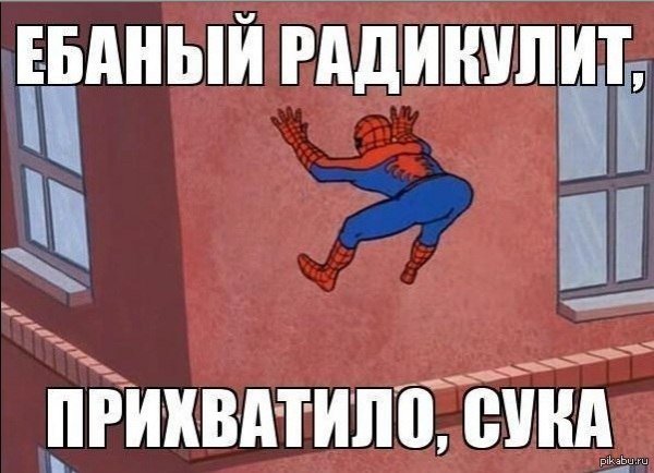 Мемы про спину