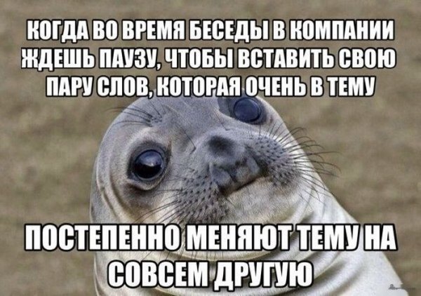 Прикольные картинки для беседы