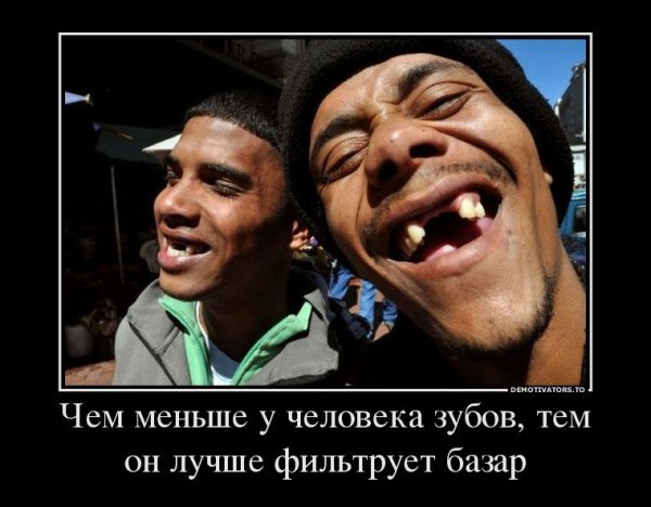Сиамская кошка злая