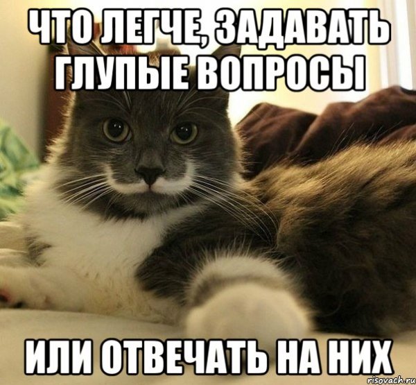 Глупые и смешные вопросы